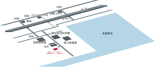 ACCESS MAP